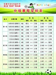 马兹拉维谈英超挑战与伤病困扰